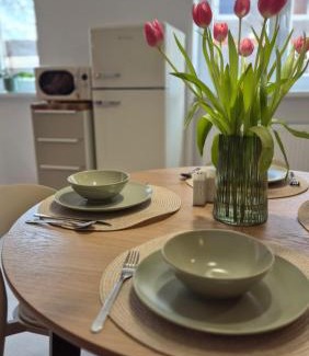 Nove Zamky Apartment | Apartmán pri mlyne