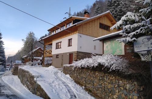Loucna nad Desnou Apartment | Apartmán Remedy