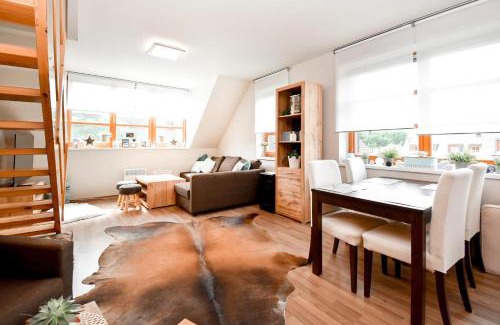 Ricky v Orlickych horach Apartment | Apartmán s terasou