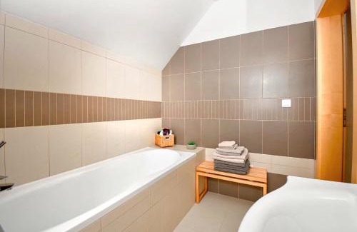Ricky v Orlickych horach Apartment | Apartmán s terasou