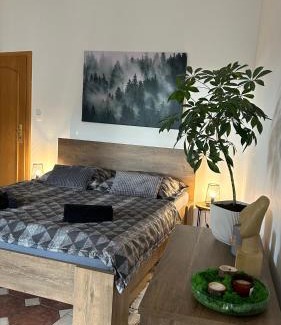 Vrbno pod Pradedem Apartment | Apartmán Smrk