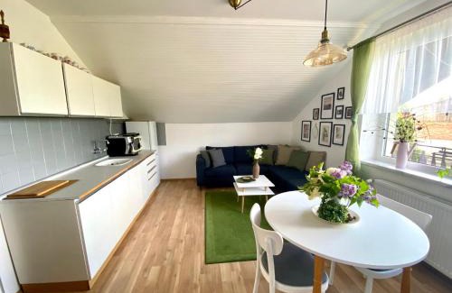Zlic Apartment | Apartmán U Babičky