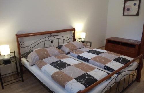 Jablonne nad Orlici Apartment | Apartmán U Dubu