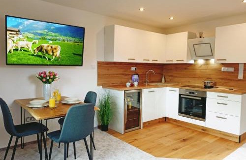 Nova Paka Apartment | Apartmán u Ovečků - Nová Paka