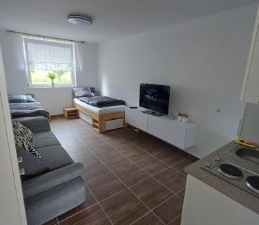 Male Zernoseky Apartment | Apartmán u Přívozu