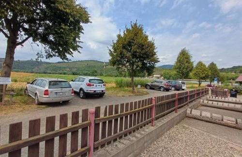 Male Zernoseky Apartment | Apartmán u Přívozu