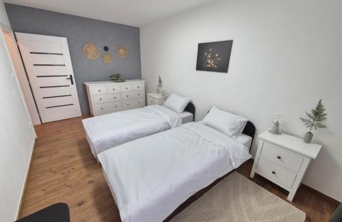 Moravian Silesian Apartment | Apartmán U Zámku - Self Check in - Airport OSR Mosnov