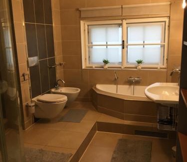 Ceske Budejovice Apartment | Apartmán v centru města