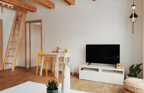 Ricky v Orlickych horach Apartment | Apartmán v podkroví
