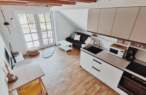 Ricky v Orlickych horach Apartment | Apartmán v podkroví