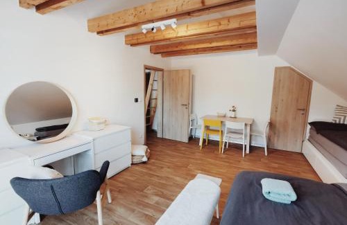 Ricky v Orlickych horach Apartment | Apartmán v podkroví