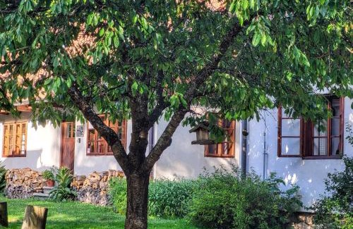 Chvalsiny Apartment | Apartmány Červený Dvůr