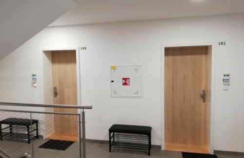 Ricky v Orlickych horach Apartment | Apartmány Říčky