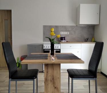 Dalovice Apartment | Apartmány Borská