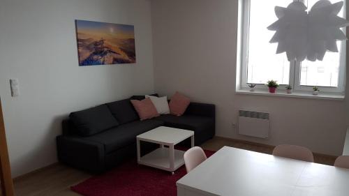 Dolni Morava Apartment | Apartmány Dolní Morava