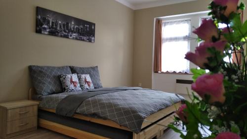 Ledec nad Sazavou Apartment | Apartmány Ledeč