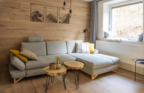Jesenik Apartment | Apartmány Mýtinka - Jeseníky