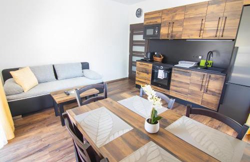 Cervena Voda Apartment | Apartmány pod Bukovkou