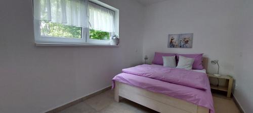 Karlovy Dvory Apartment | Apartmány U Špilínků-lipensko