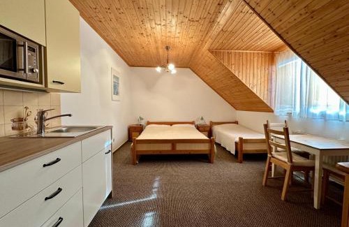 Stiavnicke Bane House | Apartmány v Müllerovom dome