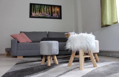 Becov nad Teplou Apartment | Apartmány v podhradí