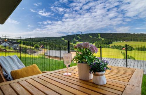 Loucna Pod Klinovcem Apartment | Apartmány Vista Klínovec