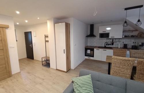 Zdikov Apartment | Apartmány Zdíkov