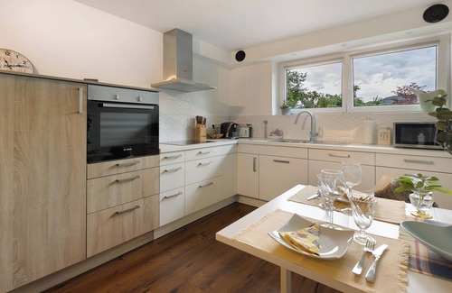 Hohentengen am Hochrhein Apartment | Apartment 'Sunshine River Flat' with Mountain View, Private Terrace and Wi-Fi