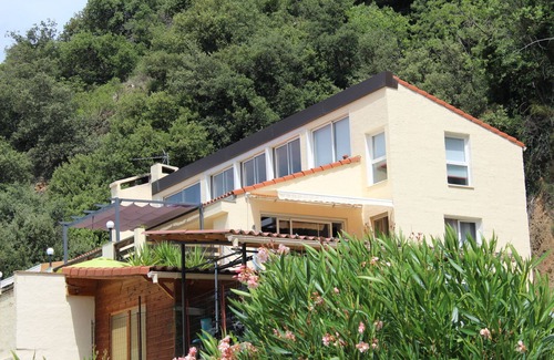 Amelie-les-Bains-Palalda Apartment | Apartment T3 - RDC