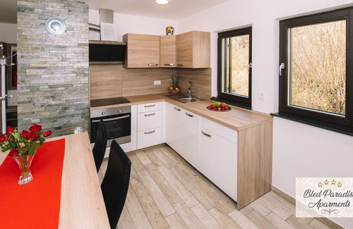 Zasip Apartment | Apartma 3 (pogled na grad)