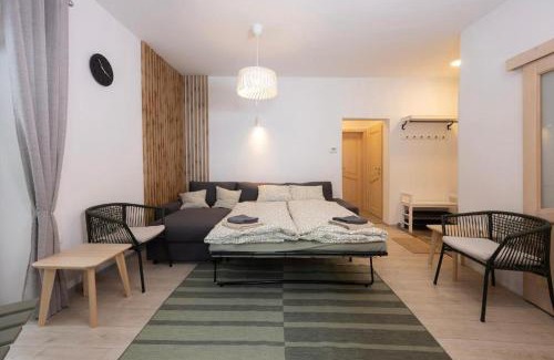 Goreljek Apartment | Apartma Medved - Pokljuka