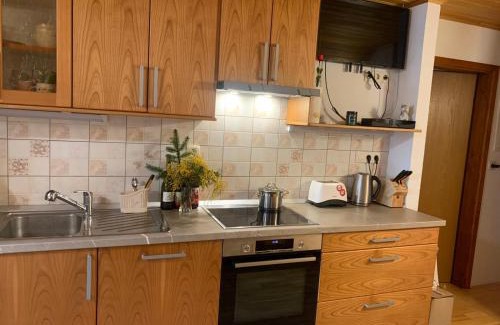 Cetena Ravan Apartment | Apartma Pri Tavčarju