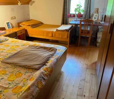 Cetena Ravan Apartment | Apartma Pri Tavčarju