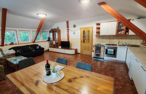 Hocko Pohorje Apartment | apartma Pohorc - Kostanj