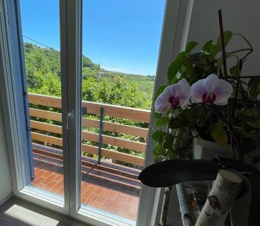 Lucija Apartment | Apartma Salvia-Guest House