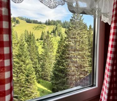 Ambroz pod Krvavcem Apartment | Apartma v objemu gora - Krvavec