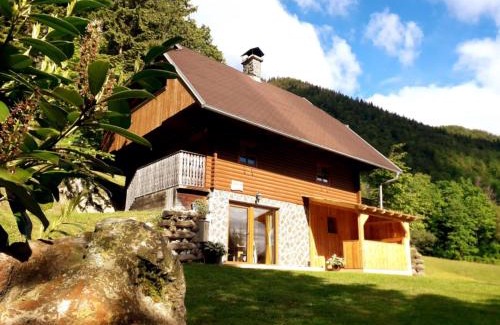 Luce Apartment | Apartmaji Brložnica pod Veliko planino