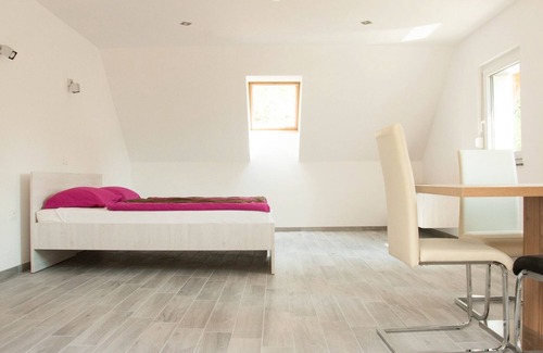 Trenta Apartment | Apartmaji Nataša
