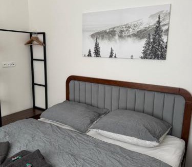 Abertamy Apartment | Apartman 7 Plesivec