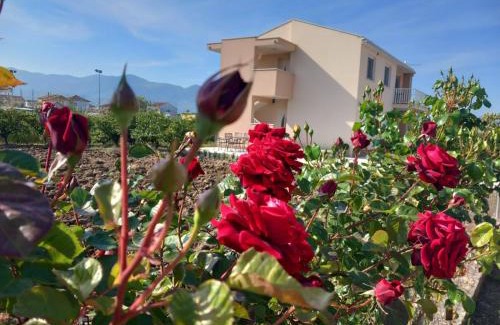 Metkovic Apartment | APARTMAN ANA, METKOVIĆ