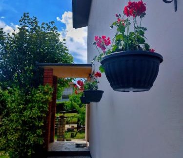 Golubac Apartment | Apartman Aurora
