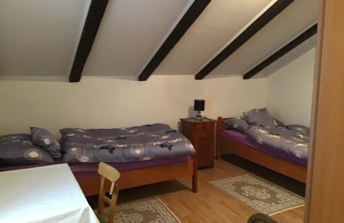 Iz Apartment | Apartman Carina
