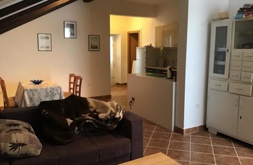 Iz Apartment | Apartman Carina