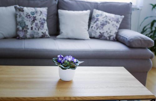 Krapinske Toplice Apartment | Apartman Dada