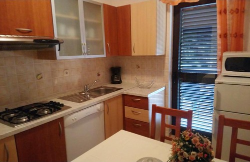 Tar-Vabriga Apartment | Apartman Dino