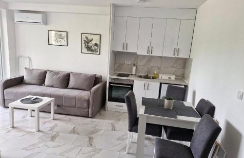 Veliko Gradiste Apartment | Apartman Djole