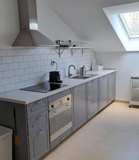 Mnichovo Hradiste Apartment | Apartman FARMA HRADEC