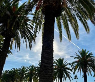 Salou City Centre Apartment | Apartman Leoni 1 linea