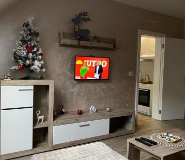 Divcibare Apartment | Apartman Maksimović Divčibare