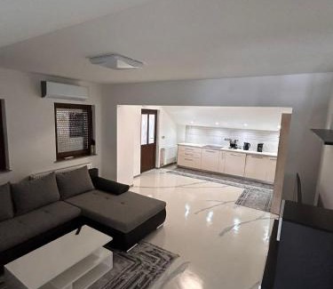 Cetingrad Apartment | Apartman No1